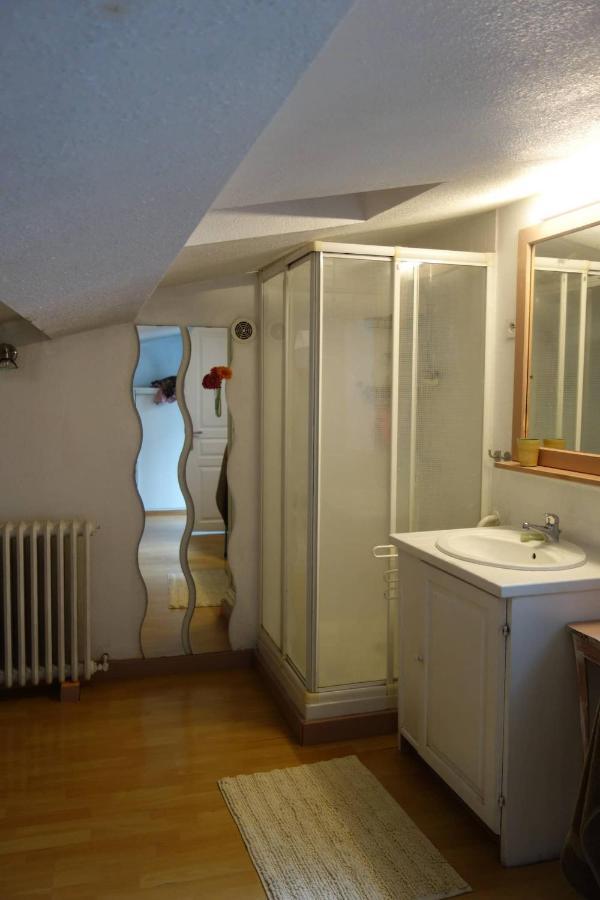 Bel Appartement Au Coeur Du Puy En Velay Le Puy-en-Velay Exterior foto
